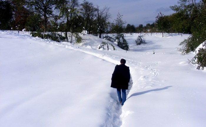 Soldaţii de sticlă ai imperiului şi-au luat lumea-n cap: Au spart paharele şi au alungat domnişoarele din Pădurea&nbsp;Neagră