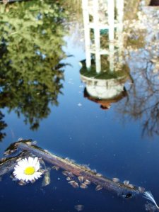 foto-gradina-botanica