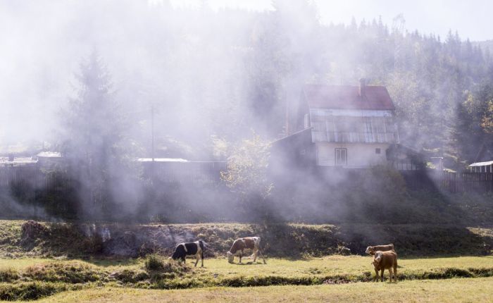Incursiune în autonomie