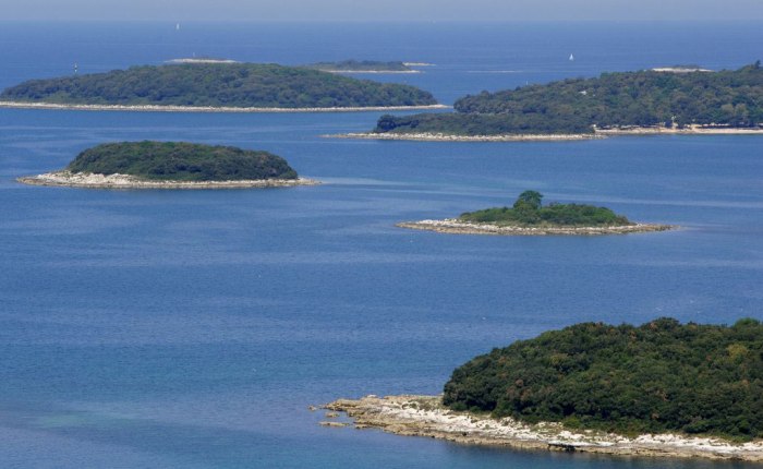 Solidaritatea Robinsonilor