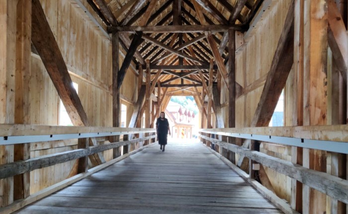 Cât timp i-a luat României să salveze de la prăbușire podul acoperit din satul lui&nbsp;Coșbuc